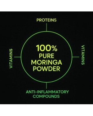 Moringa MUSCLE+ Capsule – Natural Strength, Energy & Recovery Support