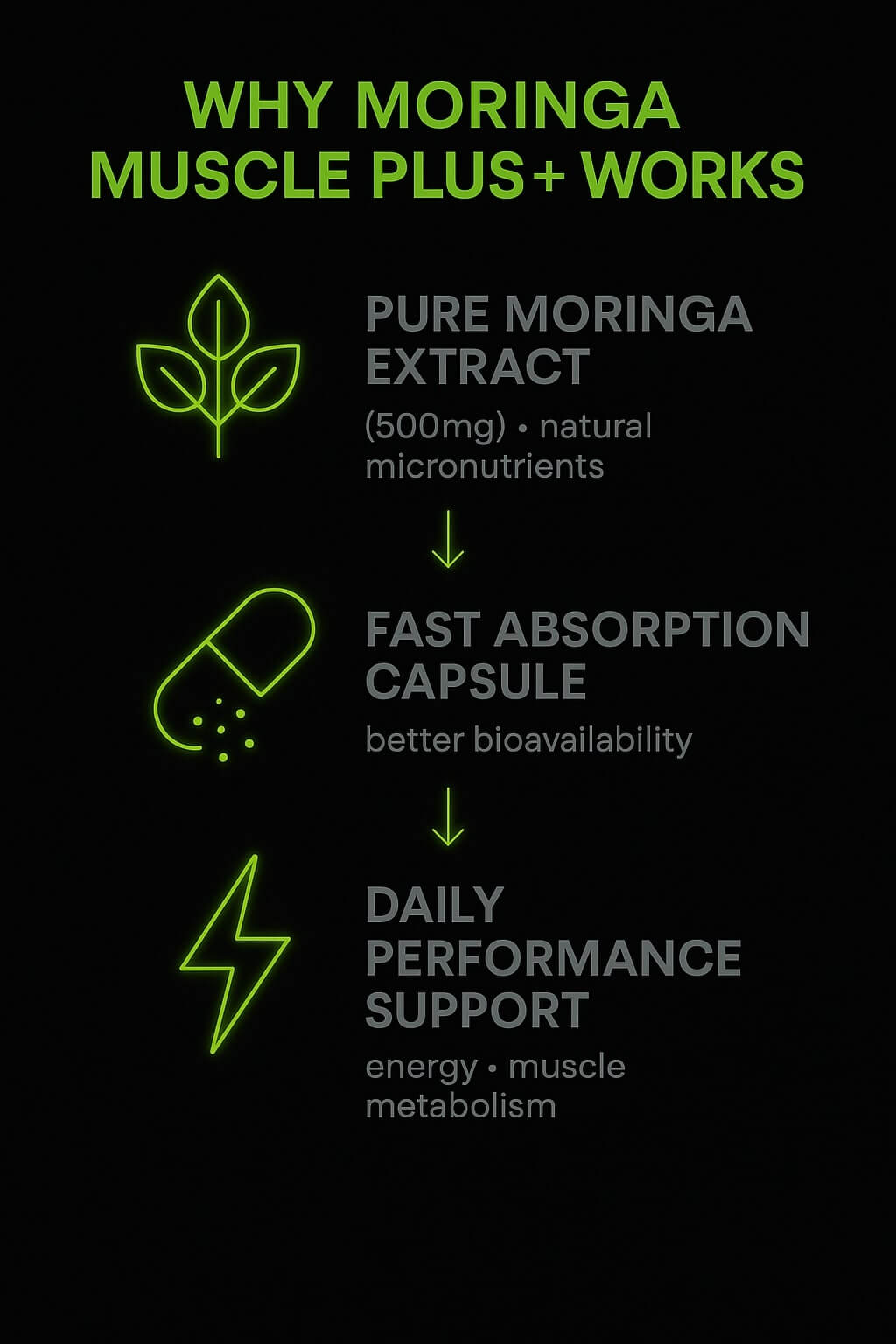 Why Moringa Plus Works
